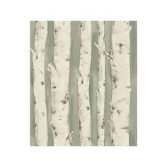 a wallpaper with white birch trees on it's green and beige background,