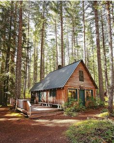 a small cabin in the woods surrounded by trees