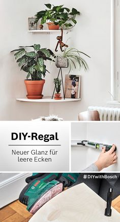 there is a shelf with plants on it and the words diy regal next to it