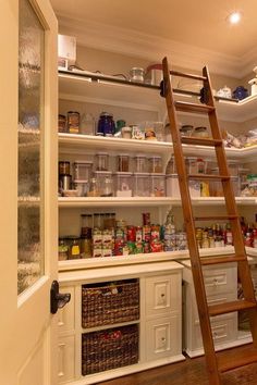 an open pantry with a ladder leading up to the door