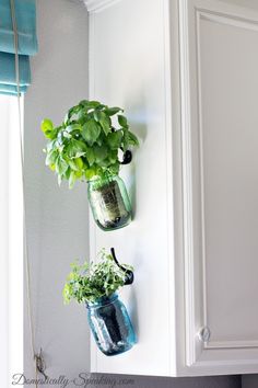 two mason jars with plants in them hanging on the wall above a kitchen cabinet door