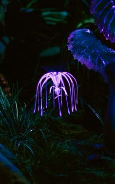 a purple light in the middle of some plants and trees with leaves around it at night