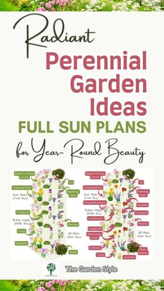 an advertisement with flowers and plants on it for the garden ideas full sun plans for year - round beauty