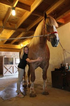 a woman standing next to a brown horse