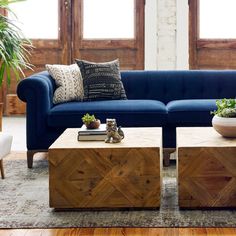 a living room with a blue couch and coffee table in front of two potted plants