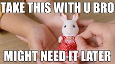 two hands holding a small toy rabbit with the caption take this with u bro might need it later