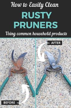 how to easily clean rusty pruniers using common household products before and after use