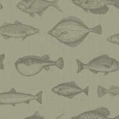 a group of fish that are on a beige wallpaper background in various sizes and colors