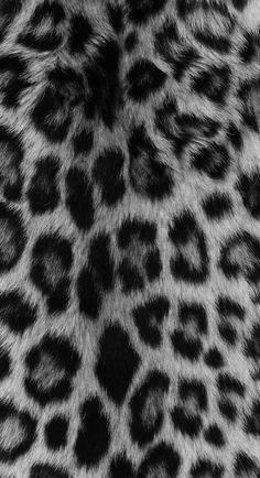 black and white photograph of an animal print fur pattern on the back of a cheetah