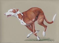 a drawing of a brown and white dog running