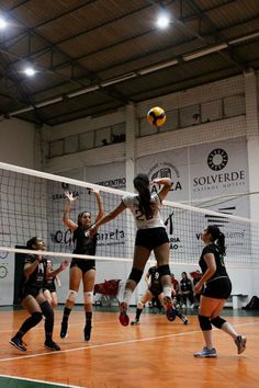 volleyball players in action on an indoor court