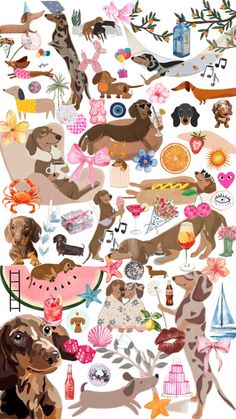 a bunch of dogs that are in the shape of a collage with watermelon and