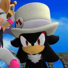 sonic the hedgehog and shadow the cat in mario kart