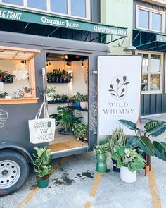 an outside view of a store with plants in the window and on the side of the building