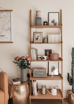 a living room filled with furniture and bookshelves next to a cactus in a vase