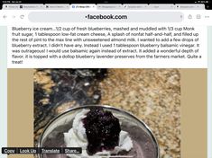 a recipe for blueberry ice cream in a blender is featured on the facebook page