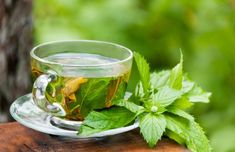 a glass cup filled with green tea sitting on top of a wooden table next to a tree