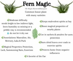 the fern magic plant is shown in green and black text, with instructions on how to use