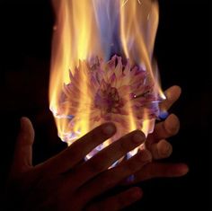 a person holding a flower in front of fire