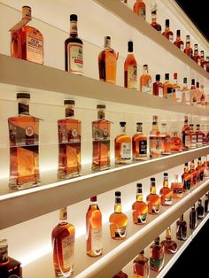 many bottles of alcohol are lined up on shelves