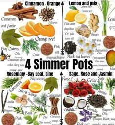 the four different types of food that are in each image, including oranges and lemons