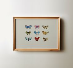 a wooden frame with six different butterflies on the wall above it, in front of a white wall