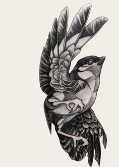 a black and white drawing of a bird with feathers on it's back side