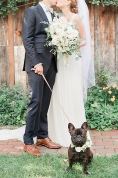 a small dog on a leash standing next to a bride and groom