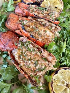 grilled lobsters with lemon garnish and parsley on the side, surrounded by fresh herbs