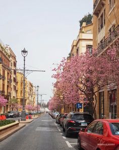 cars are parked on the street in front of some buildings and trees with pink flowers