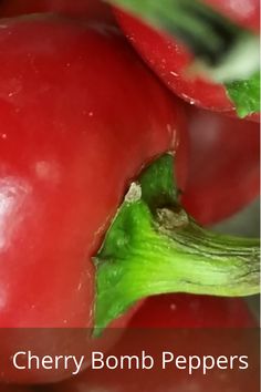 there are many different types of peppers in this picture and the words cherry bomb peppers