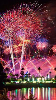 fireworks are lit up in the night sky over water and palm trees with lights on them