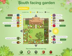 a garden map with lots of different plants and flowers on the ground, including an area for