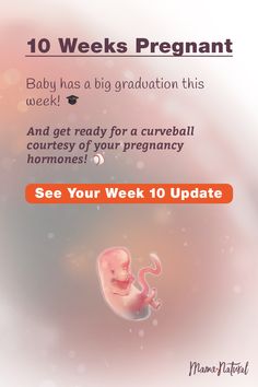 a baby is in the middle of an image with text that reads, 10 weeks pregnant