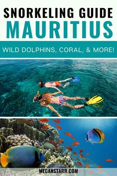 two pictures with the words snorling guide mauritus, wild dolphins, coral and more