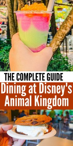 the complete guide to dining at disney's animal kingdom, including an ice cream sundae