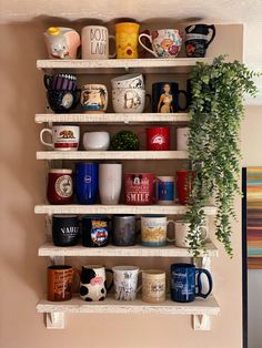 coffee mugs are lined up on shelves in the corner of a room with a potted plant