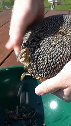 a person is holding something in their hand and they are about to grab it out of the bowl