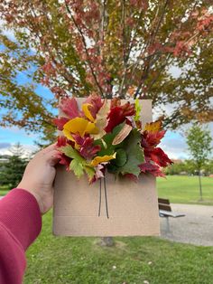 a person holding up a box with leaves on it in front of a park bench