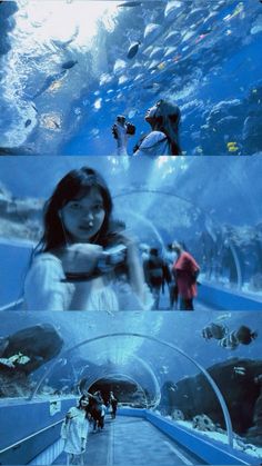 people are swimming in the water at an aquarium