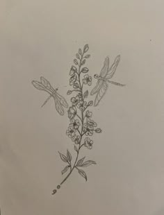 a drawing of flowers and dragonflies on paper