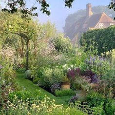 a lush green garden with lots of flowers