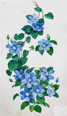 blue flowers with green leaves on a white background