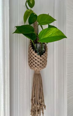 a potted plant hanging from the side of a wall with a rope wrapped around it