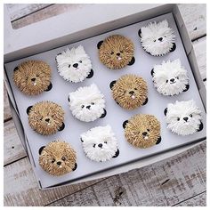 the cupcakes are decorated with white and brown icing, which look like bears