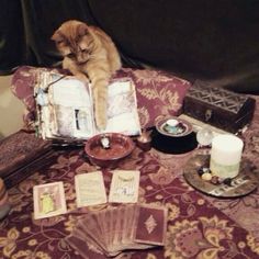 a cat sitting on top of a table next to an open book