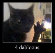 a black cat sitting on top of a table next to a wall with the caption 4 dablons