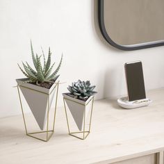 Umbra Tabletop Organizer White Brass Trigg Wire Tabletop Vessels - Set of 2 Desktop Planter, Tabletop Planter, Bureau Decor, Small Indoor Plants, Geometric Planter, Mini Cactus, Table Vase, Decor Pillows, White Brass