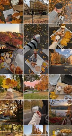 a collage of photos with autumn leaves on the ground and people eating food in the park