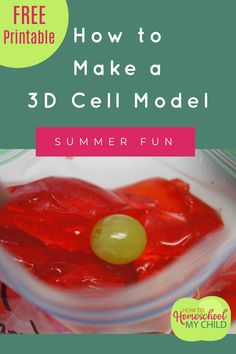 How to Make a 3D Cell Model with Jello 3d Plant Cell Project, Edible Plant Cell, 3d Plant Cell, Plant Cell Project, Cell Project, Homeschool Science Experiments